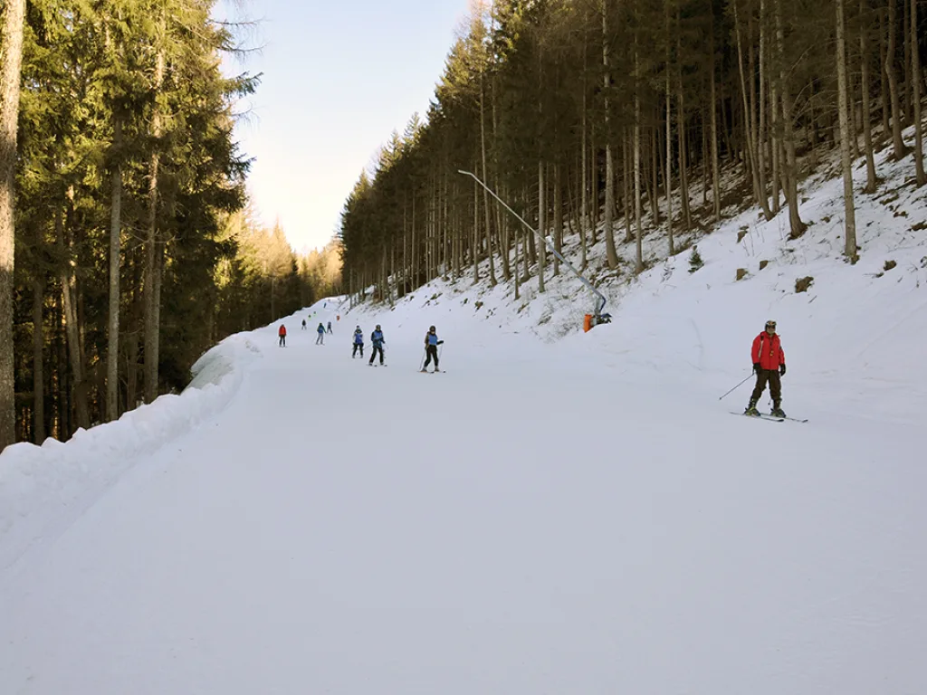 Waldschneise als Piste im Abendlicht mit einzelnen Fahrenden.